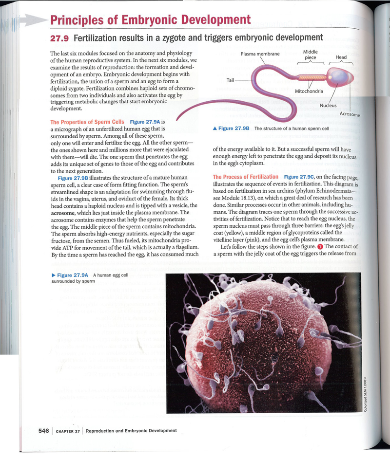 Illustration for article titled These Are The Pages Being Ripped From A Biology Text Book In Arizona